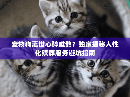 宠物狗离世心碎难熬？独家揭秘人性化殡葬服务避坑指南