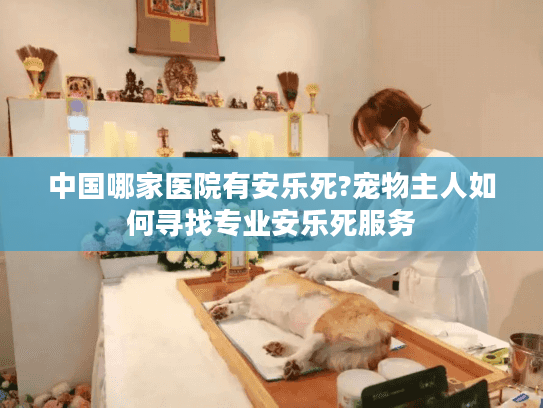 中国哪家医院有安乐死?宠物主人如何寻找专业安乐死服务