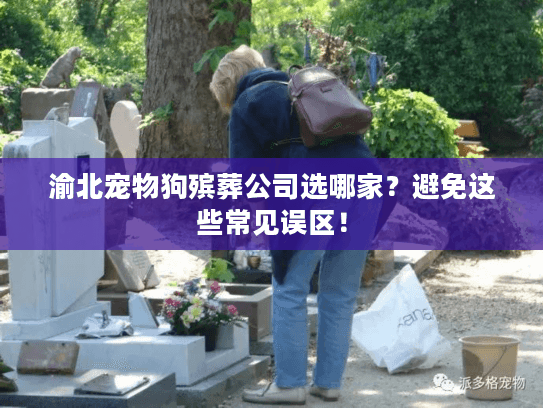 渝北宠物狗殡葬公司选哪家？避免这些常见误区！