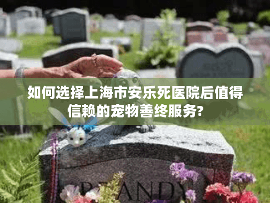 如何选择上海市安乐死医院后值得信赖的宠物善终服务?