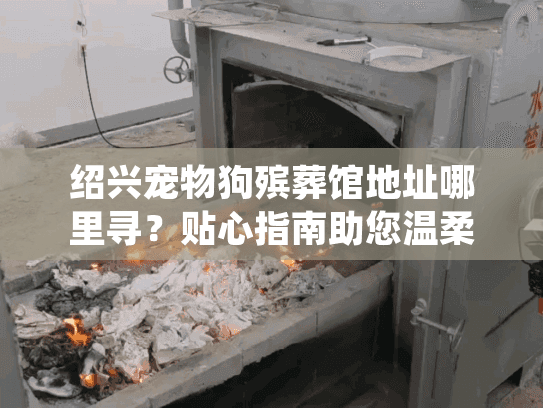 绍兴宠物狗殡葬馆地址哪里寻？贴心指南助您温柔告别爱宠
