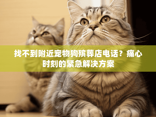 找不到附近宠物狗殡葬店电话?痛心时刻的紧急解决方案 找不到附近宠物狗殡葬店电话?痛心时刻的紧急解决方案