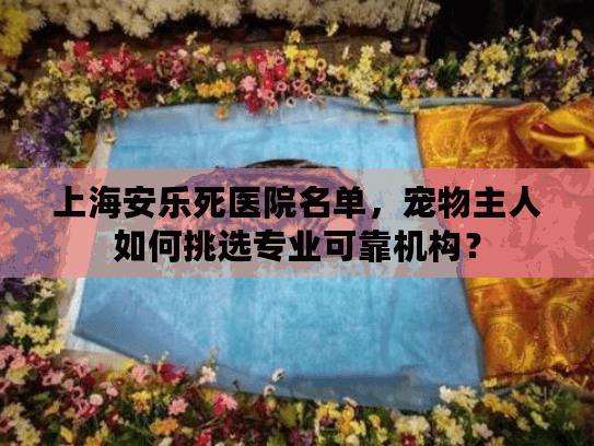 上海安乐死医院名单，宠物主人如何挑选专业可靠机构？