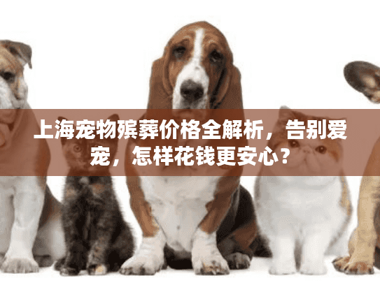 上海宠物殡葬价格全解析，告别爱宠，怎样花钱更安心？