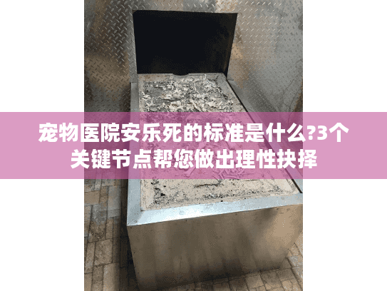 宠物医院安乐死的标准是什么?3个关键节点帮您做出理性抉择