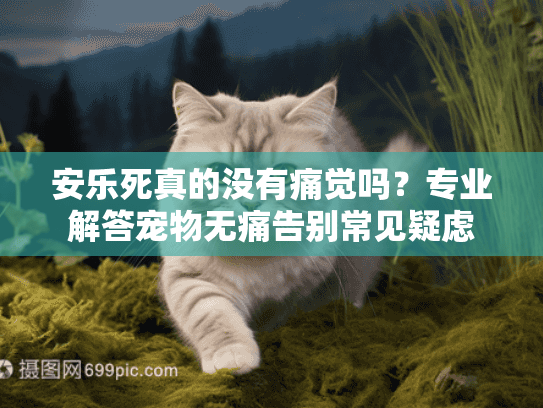 安乐死真的没有痛觉吗？专业解答宠物无痛告别常见疑虑