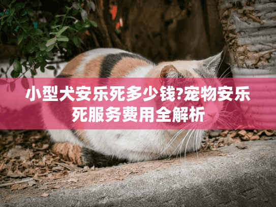 小型犬安乐死多少钱?宠物安乐死服务费用全解析