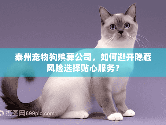 泰州宠物狗殡葬公司，如何避开隐藏风险选择贴心服务？