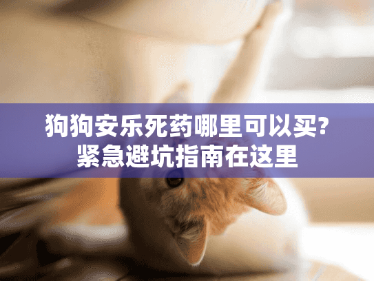 狗狗安乐死药哪里可以买?紧急避坑指南在这里