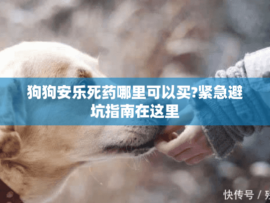 狗狗安乐死药哪里可以买?紧急避坑指南在这里