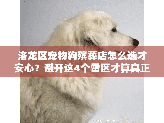 洛龙区宠物狗殡葬店怎么选才安心？避开这4个雷区才算真正告别