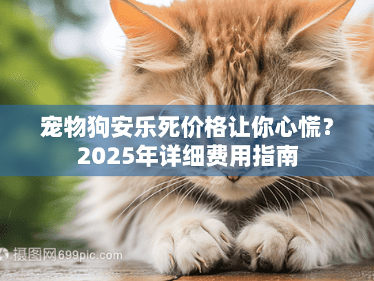 宠物狗安乐死价格让你心慌？2025年详细费用指南