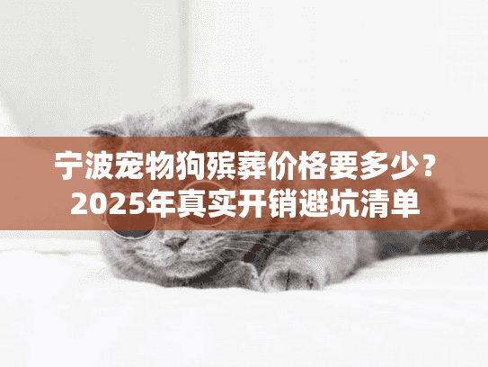 宁波宠物狗殡葬价格要多少？2025年真实开销避坑清单