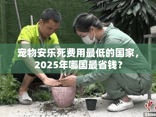宠物安乐死费用最低的国家，2025年哪国最省钱？