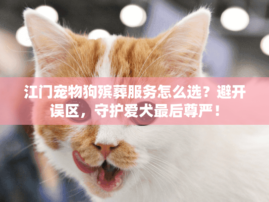 江门宠物狗殡葬服务怎么选？避开误区，守护爱犬最后尊严！