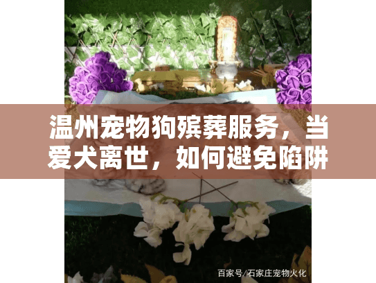 温州宠物狗殡葬服务，当爱犬离世，如何避免陷阱找到可靠告别方式？