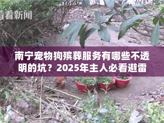 南宁宠物狗殡葬服务有哪些不透明的坑？2025年主人必看避雷清单