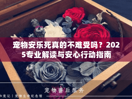 宠物安乐死真的不难受吗？2025专业解读与安心行动指南