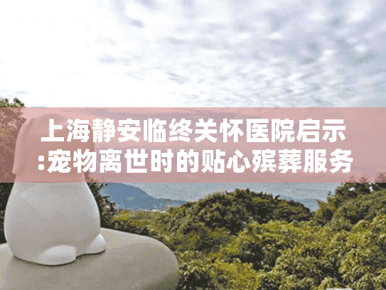 上海静安临终关怀医院启示:宠物离世时的贴心殡葬服务选择