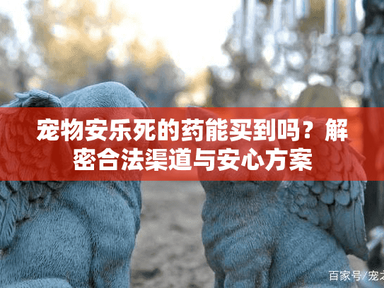 宠物安乐死的药能买到吗？解密合法渠道与安心方案