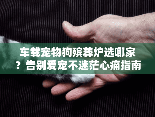 车载宠物狗殡葬炉选哪家？告别爱宠不迷茫心痛指南