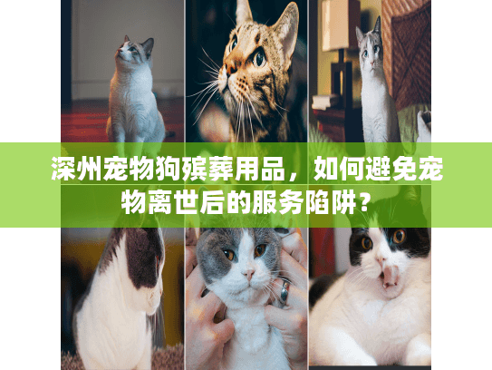 深州宠物狗殡葬用品,如何避免宠物离世后的服务陷阱? 深州宠物狗殡葬用品,如何避免宠物离世后的服务陷阱?