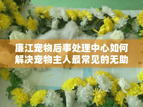 廉江宠物后事处理中心如何解决宠物主人最常见的无助感？