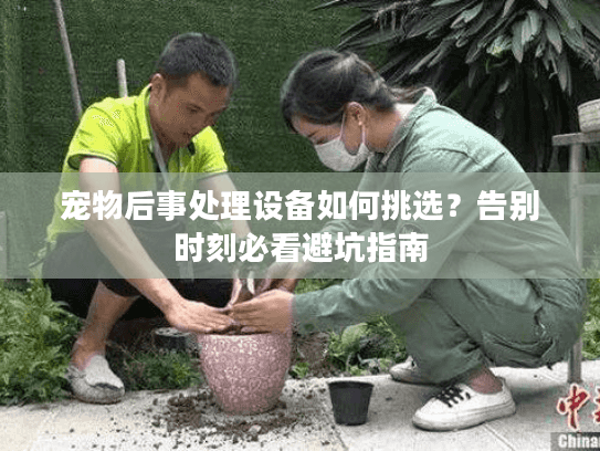 宠物后事处理设备如何挑选？告别时刻必看避坑指南