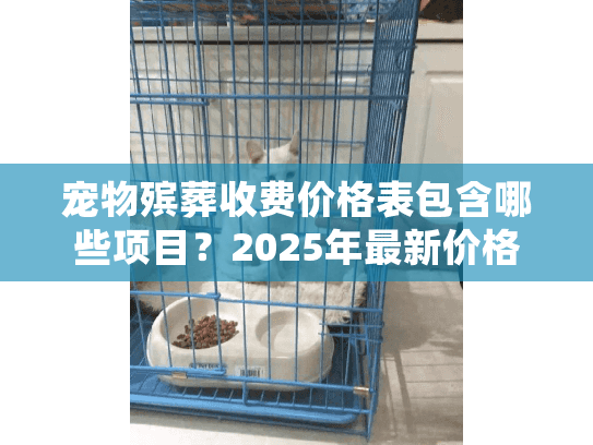 宠物殡葬收费价格表包含哪些项目？2025年最新价格明细参考