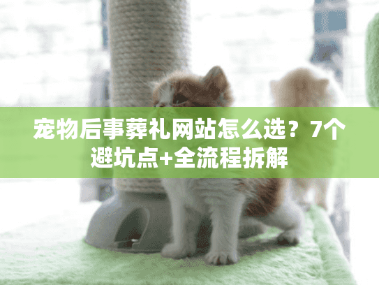 宠物后事葬礼网站怎么选？7个避坑点+全流程拆解