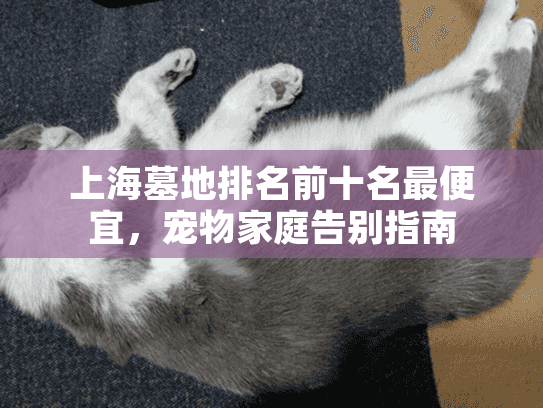 上海墓地排名前十名最便宜，宠物家庭告别指南