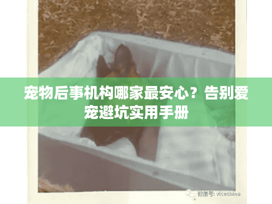 宠物后事机构哪家最安心？告别爱宠避坑实用手册