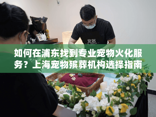 如何在浦东找到专业宠物火化服务？上海宠物殡葬机构选择指南