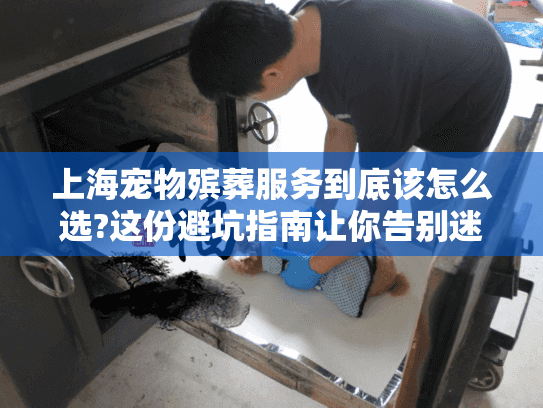 上海宠物殡葬服务到底该怎么选?这份避坑指南让你告别迷茫