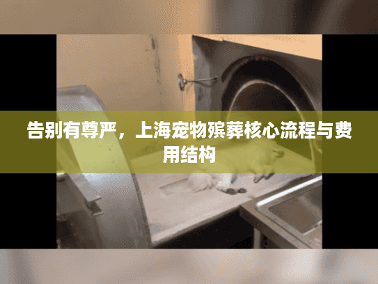 告别有尊严，上海宠物殡葬核心流程与费用结构