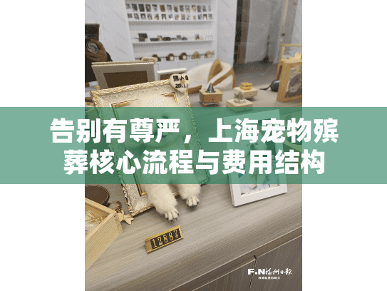 告别有尊严，上海宠物殡葬核心流程与费用结构