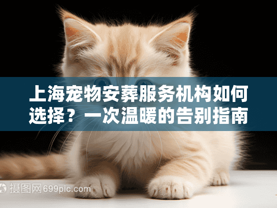 上海宠物安葬服务机构如何选择？一次温暖的告别指南