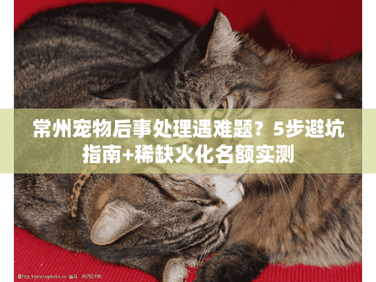 常州宠物后事处理遇难题？5步避坑指南+稀缺火化名额实测