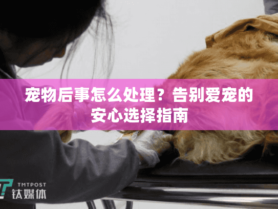 宠物后事怎么处理？告别爱宠的安心选择指南