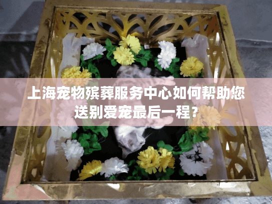 上海宠物殡葬服务中心如何帮助您送别爱宠最后一程？