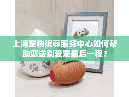 上海宠物殡葬服务中心如何帮助您送别爱宠最后一程？