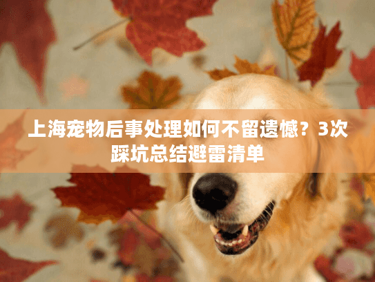 上海宠物后事处理如何不留遗憾？3次踩坑总结避雷清单