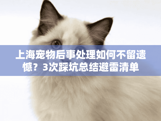 上海宠物后事处理如何不留遗憾？3次踩坑总结避雷清单