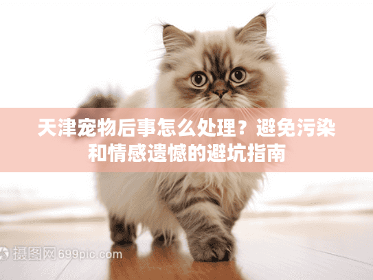 天津宠物后事怎么处理？避免污染和情感遗憾的避坑指南