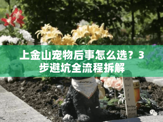 上金山宠物后事怎么选？3步避坑全流程拆解