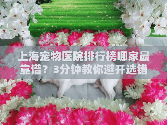 上海宠物医院排行榜哪家最靠谱？3分钟教你避开选错医院的大坑