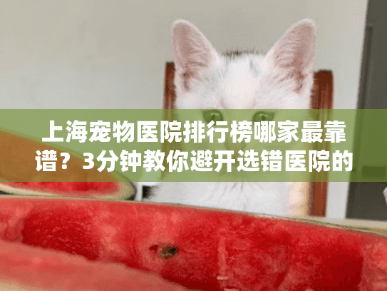 上海宠物医院排行榜哪家最靠谱？3分钟教你避开选错医院的大坑