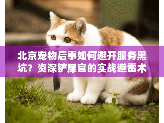 北京宠物后事如何避开服务黑坑？资深铲屎官的实战避雷术