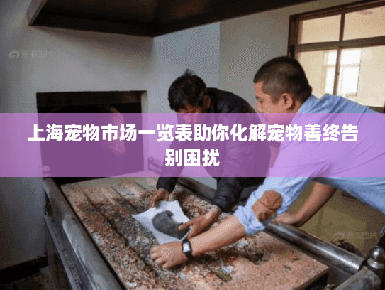上海宠物市场一览表助你化解宠物善终告别困扰