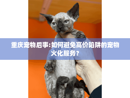 重庆宠物后事:如何避免高价陷阱的宠物火化服务？